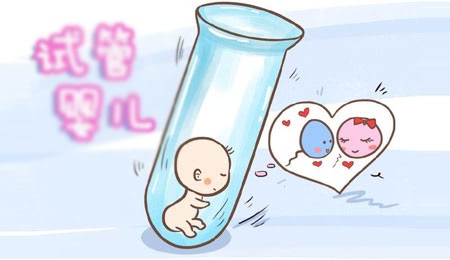 备孕期间