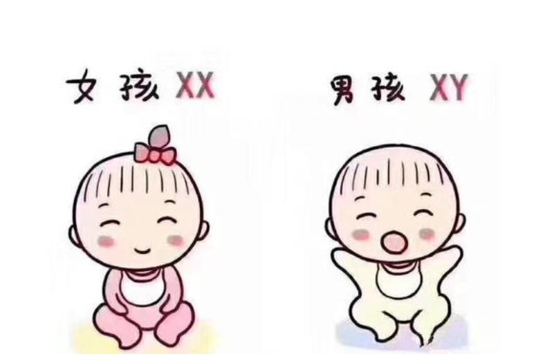 多囊早孕反应