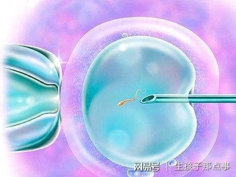 早产儿