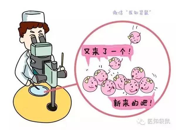 大产权房