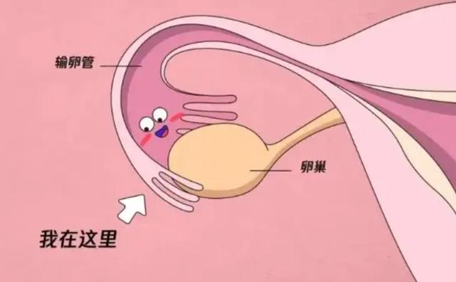 夏天着凉