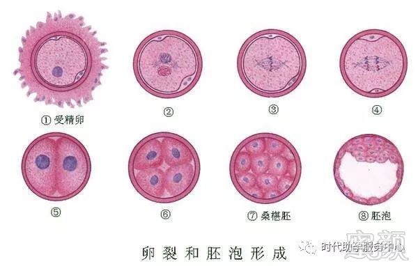 孕多少周生下来的宝宝不用进保温箱
