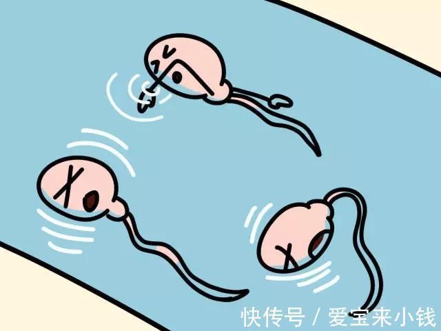多囊卵巢备孕