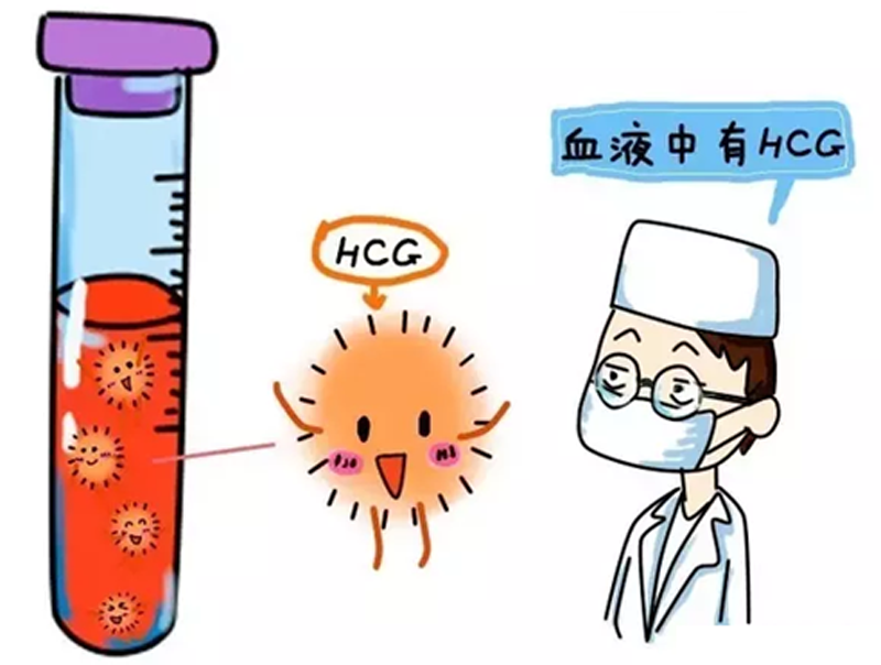 多美臣早早孕试纸