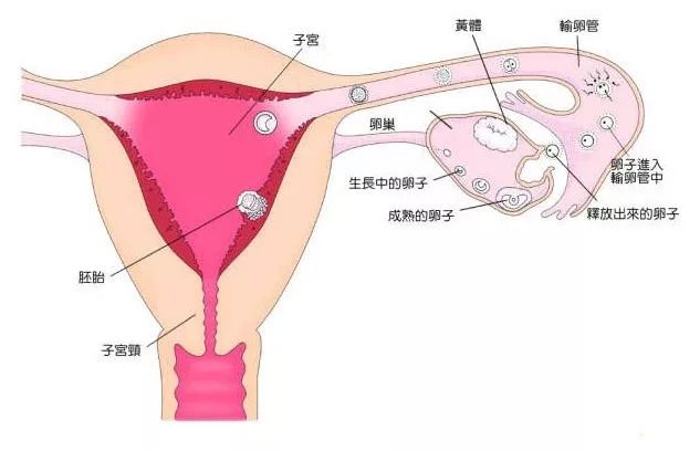 夏天