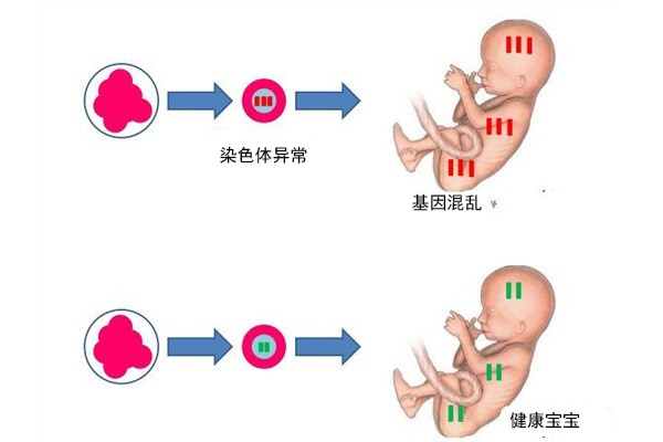 多美臣早早孕试纸条I型