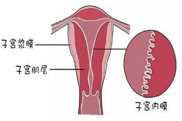 备孕
