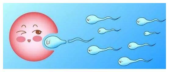贵阳试管婴儿