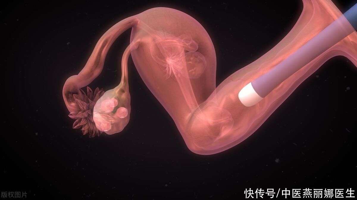贵阳试管