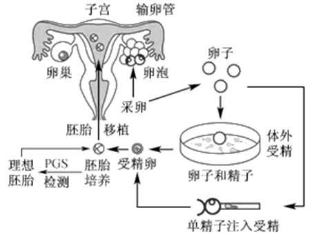 贵阳试管时间