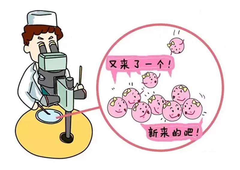 贵阳试管婴儿
