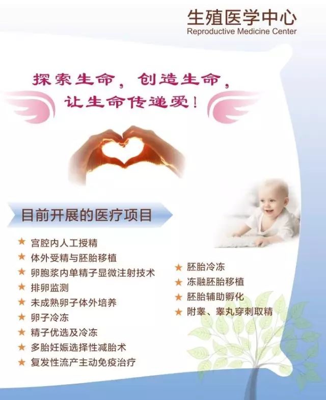 女生不排卵