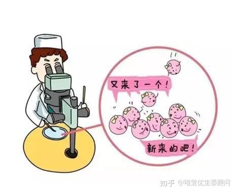 娄底高薪招聘捐卵志愿者