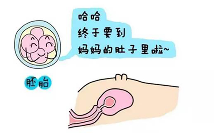 婴儿音乐