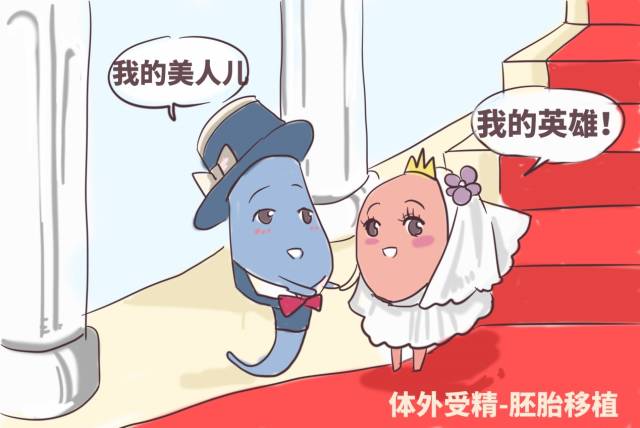 孕期长度