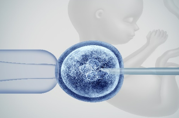 武汉孕优美助孕机构