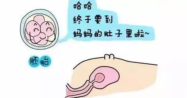 威海助孕公司