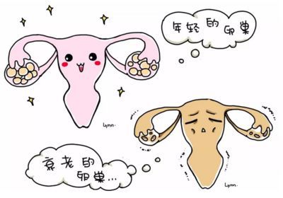 子宫切除