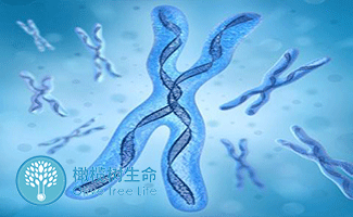 妇女绝育手术